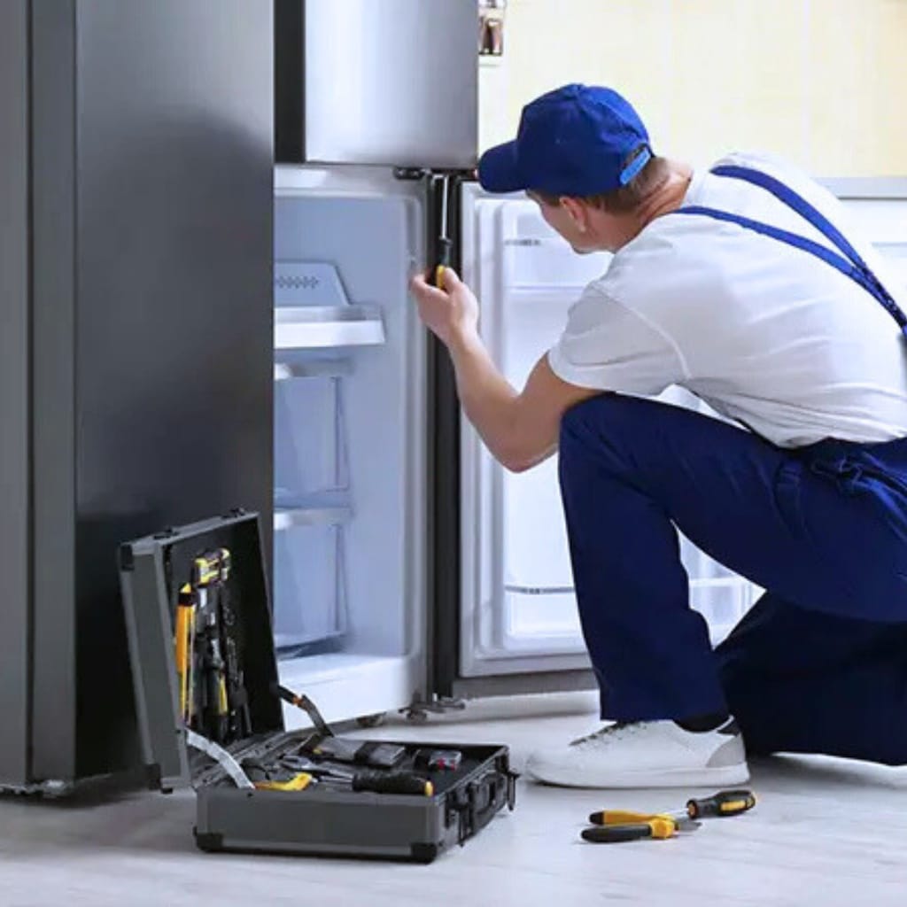 Expert Fridge repair Technician